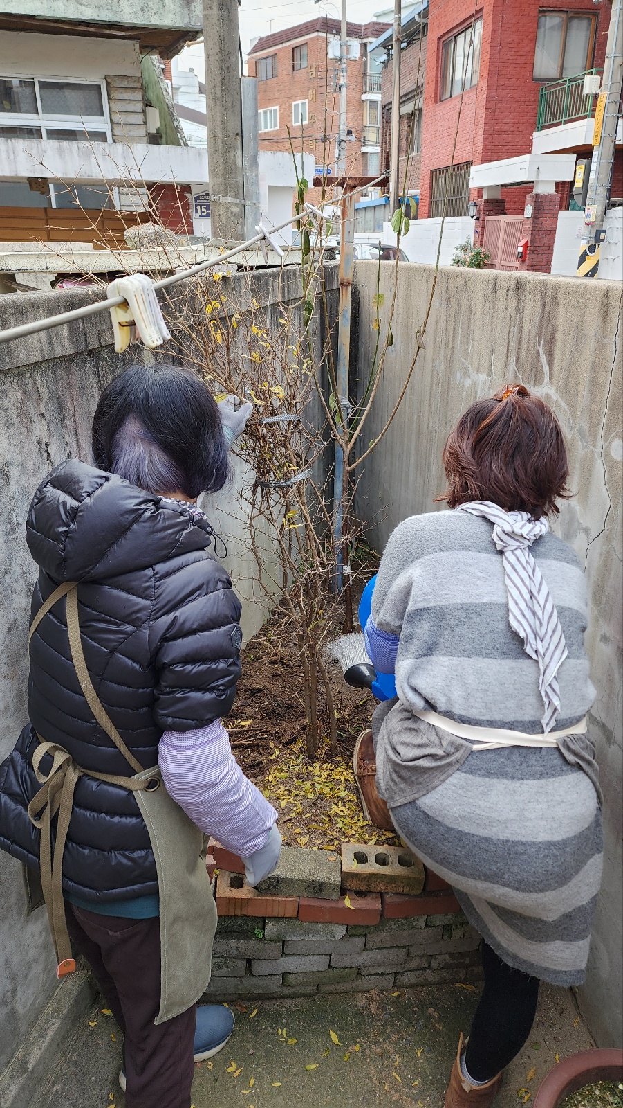 [선주원남동] 각산마을 꽃꽃찾아라 - 꽃나무 식재 현장 스케치 첨부 이미지