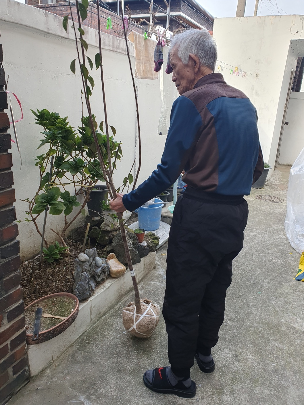 [선주원남동] 각산마을 꽃꽃찾아라 - 꽃나무 식재 현장 스케치 첨부 이미지