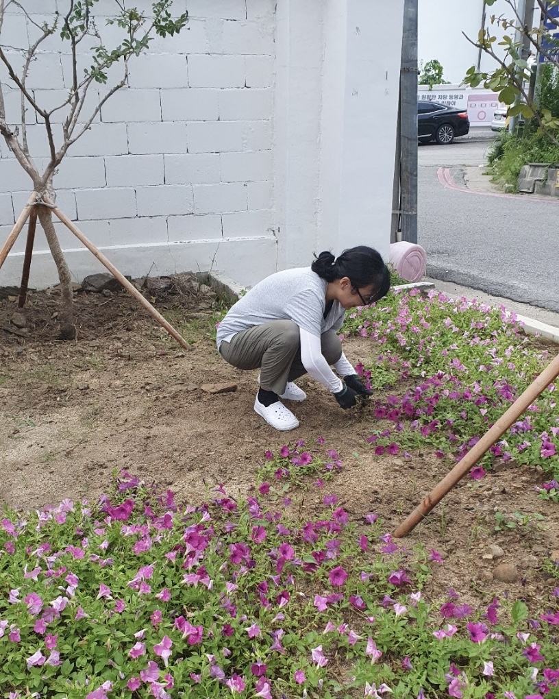 [선주원남동] 우리 마을, 우리 손으로 가꾸어요 첨부 이미지