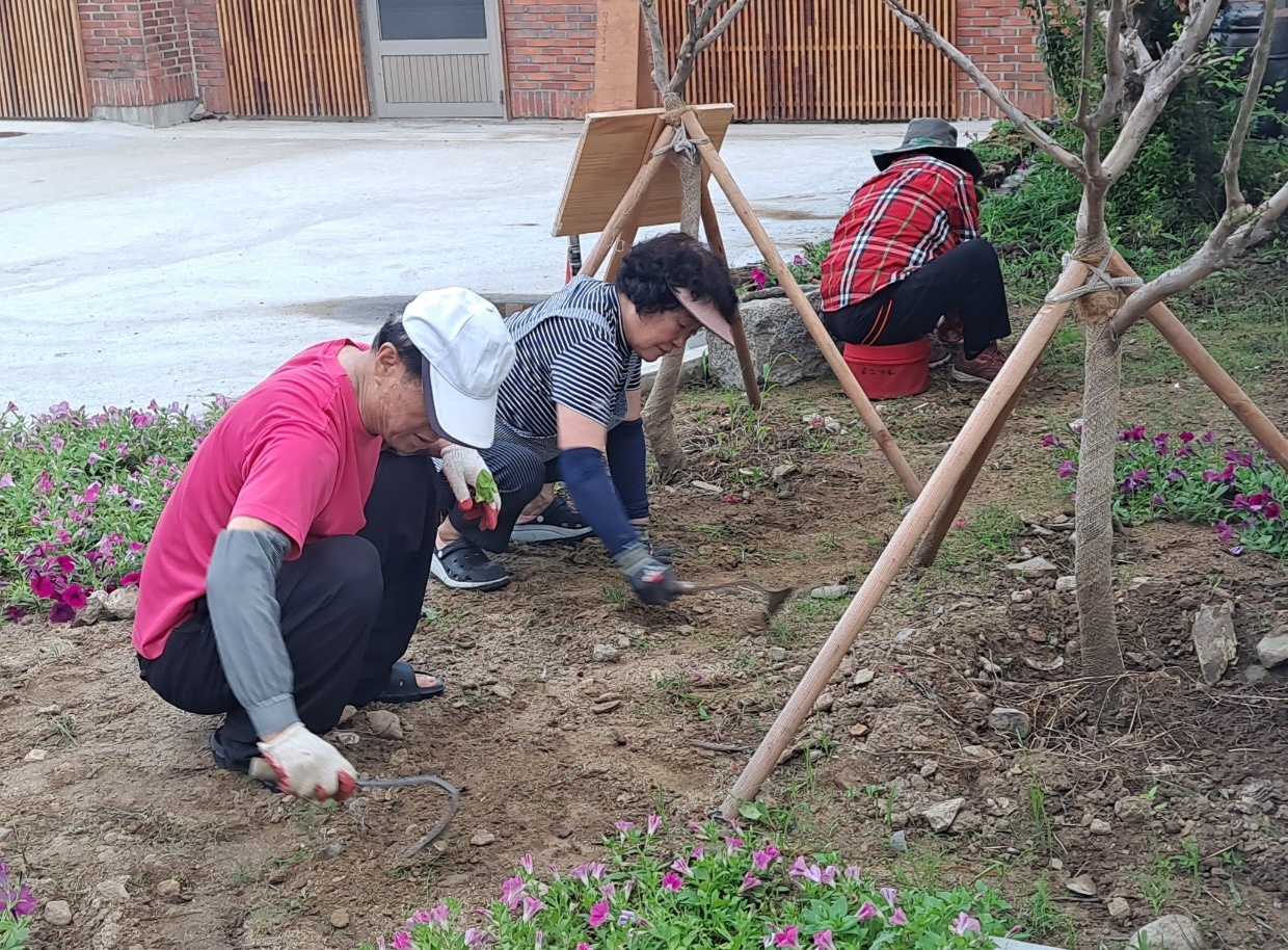 [선주원남동] 우리 마을, 우리 손으로 가꾸어요 첨부 이미지