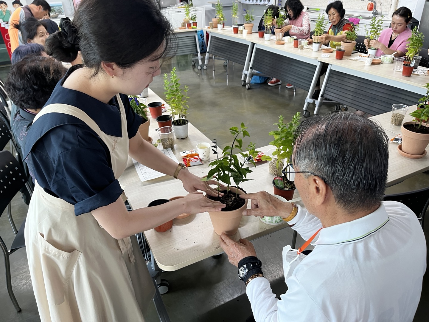 [선주원남동] 공동체활성화프로그램 - 원예치료 3주 차 현장 스케치 첨부 이미지